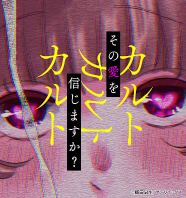 カルトカルトカルト その愛を信じますか？