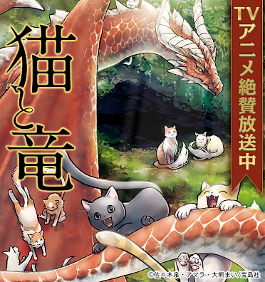 猫と竜