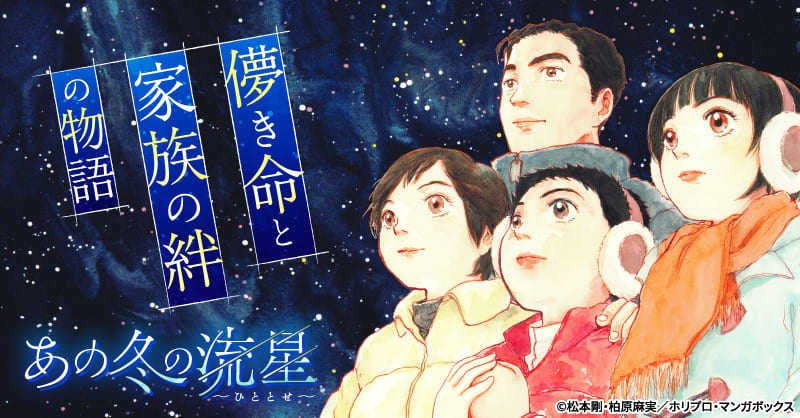 あの冬の流星～ひととせ～